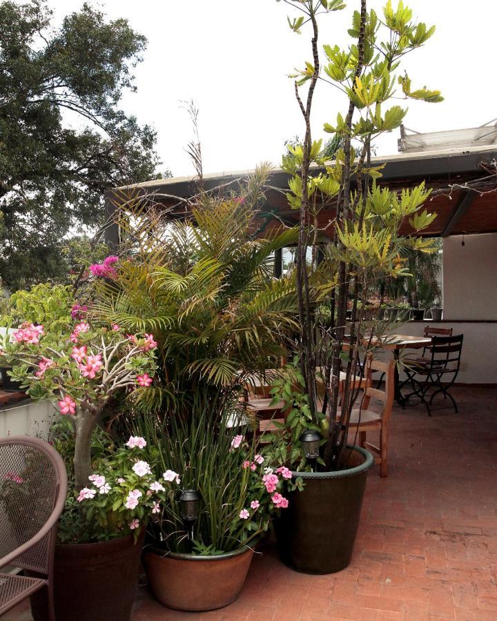 La Cochinilla Hotel Boutique Oaxaca Exterior foto